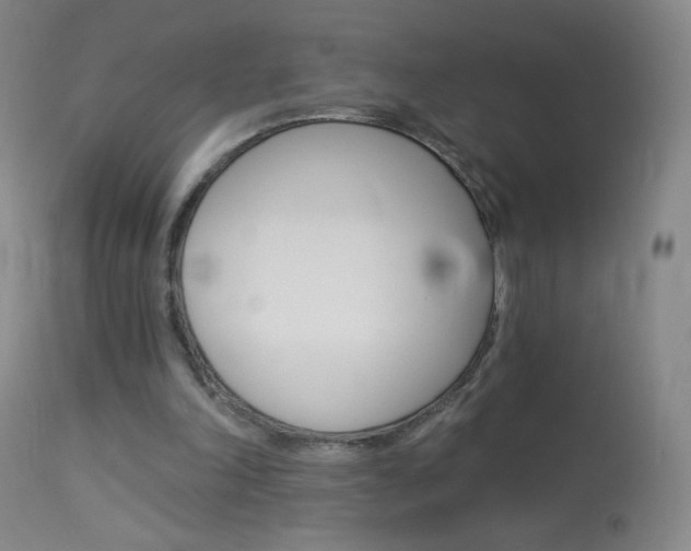 X0000114130198200910081010