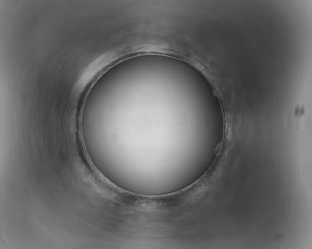 X0000114130199200910081010