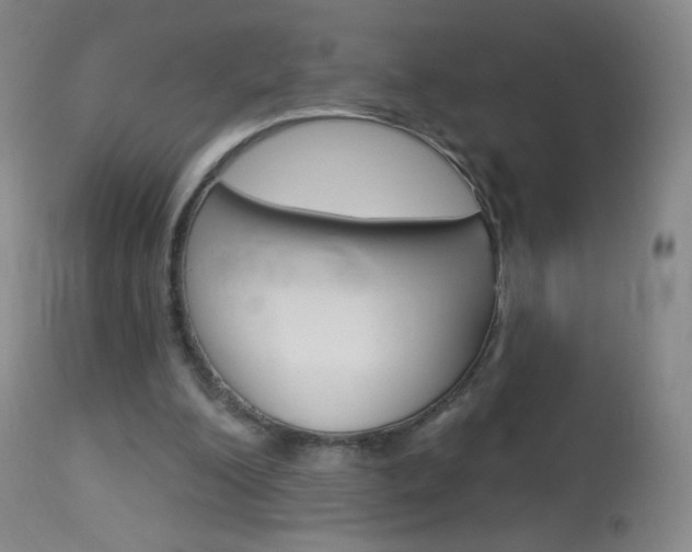 X0000114130200200910081010
