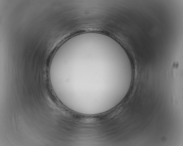 X0000114130202200910081010