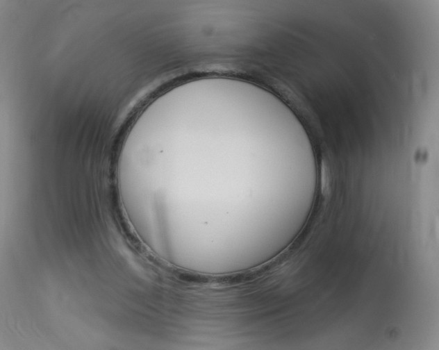 X0000114130204200910081010