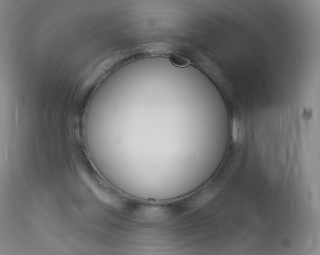 X0000114130205200910081010