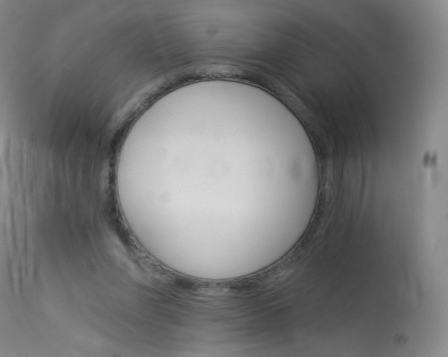 X0000114130206200910081010