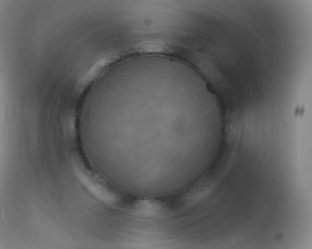 X0000114130207200910081010