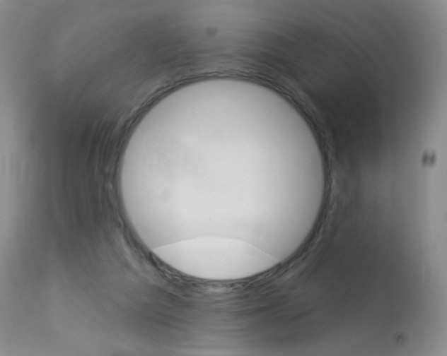 X0000114130209200910081010