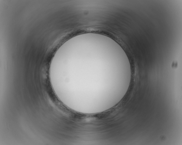 X0000114130210200910081010