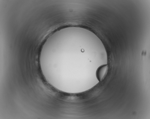 X0000114130212200910081010