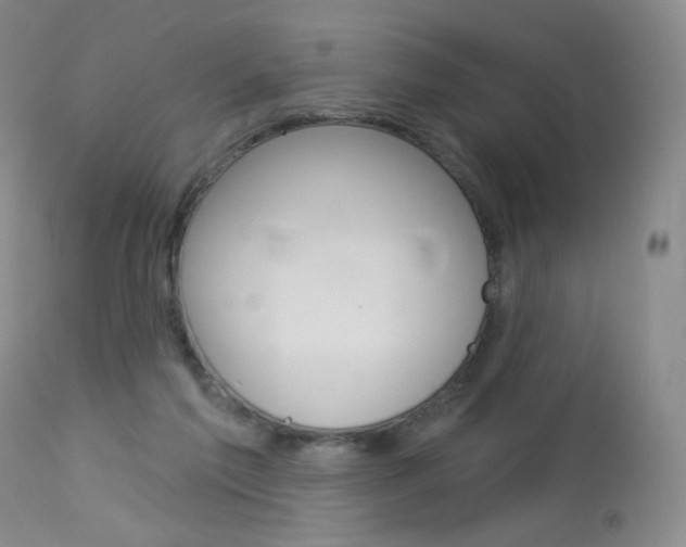 X0000114130213200910081010