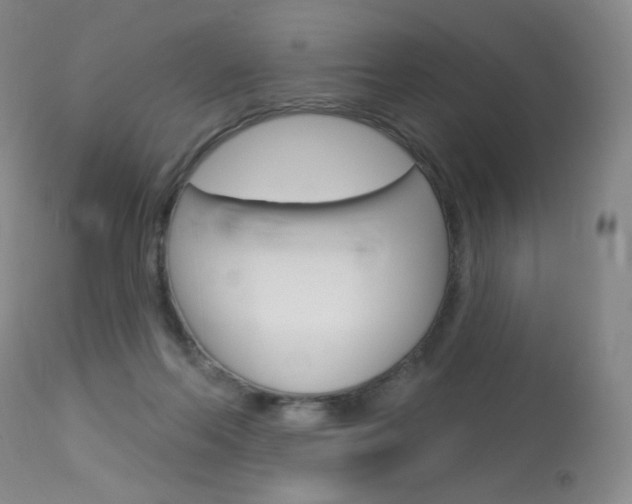 X0000114130214200910081010