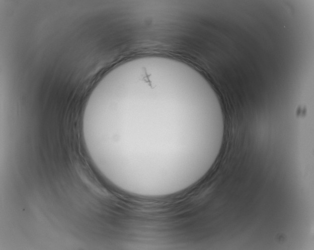 X0000114130215200910081010
