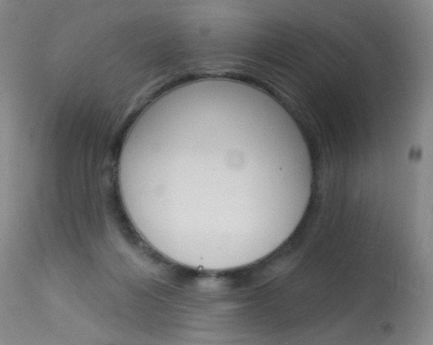 X0000114130216200910081010