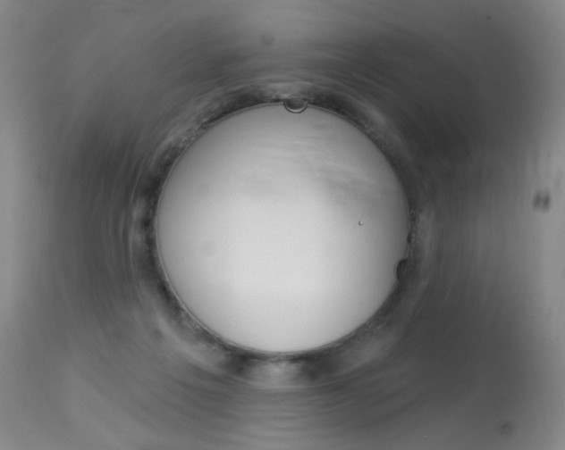 X0000114130217200910081010