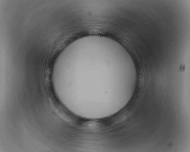 X0000114130219200910081010