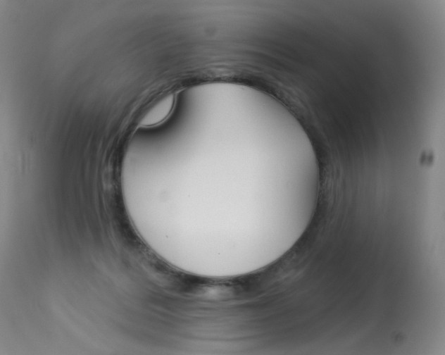 X0000114130220200910081010