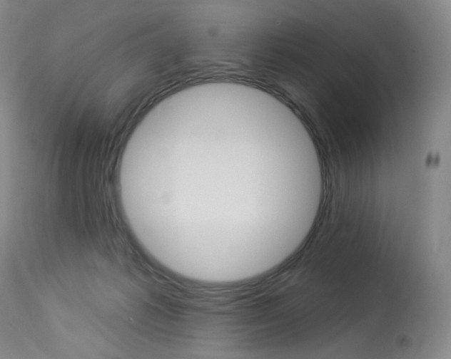 X0000114130221200910081010