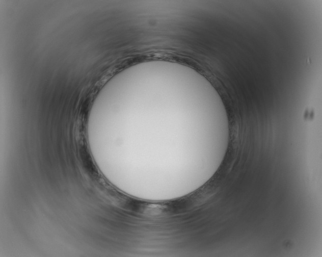 X0000114130222200910081010