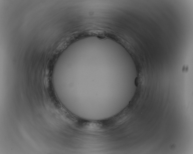 X0000114130223200910081010