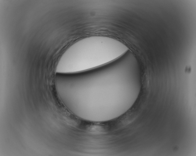 X0000114130224200910081010
