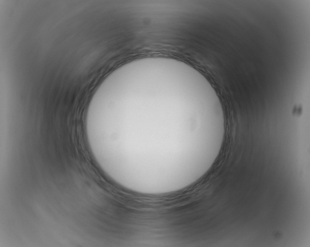 X0000114130225200910081010