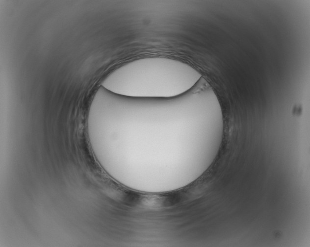 X0000114130226200910081010