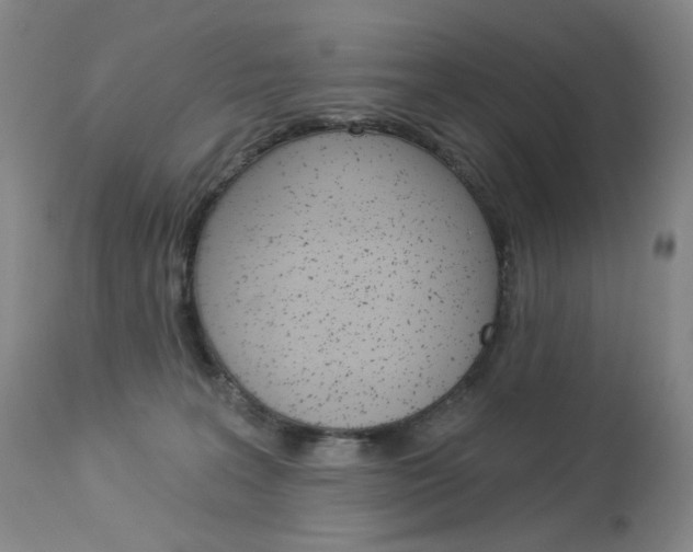 X0000114130227200910081010