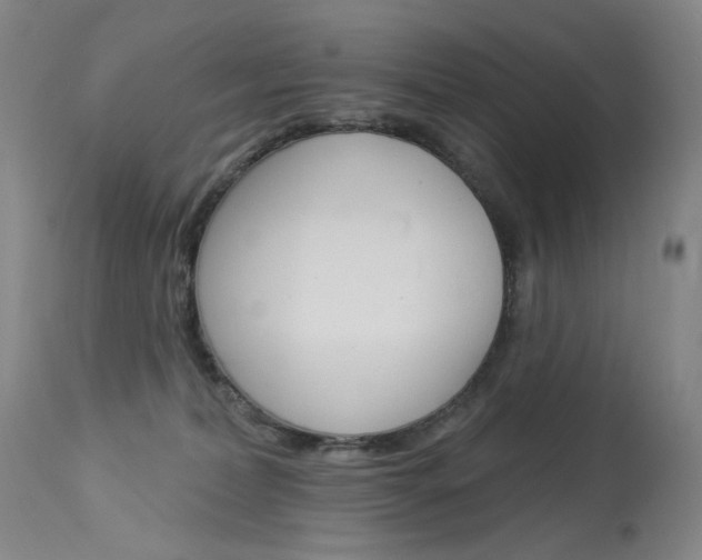 X0000114130228200910081010