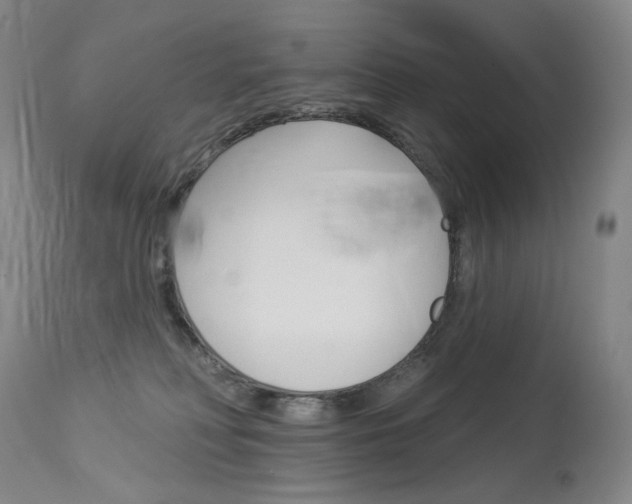 X0000114130230200910081010