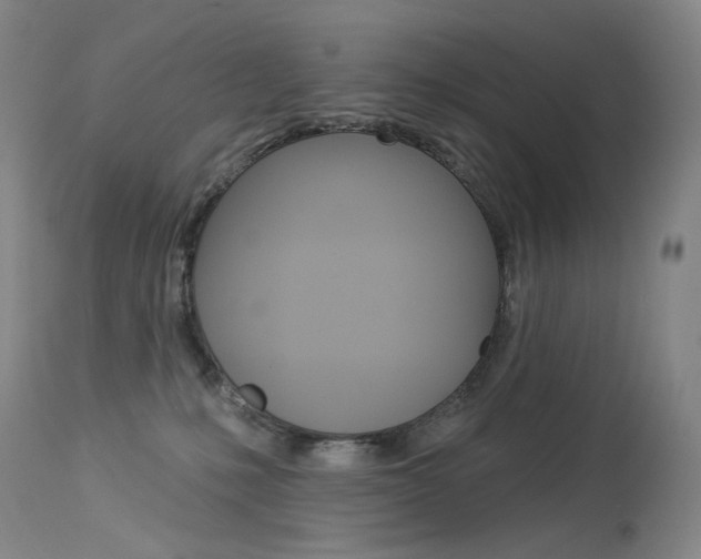 X0000114130231200910081010