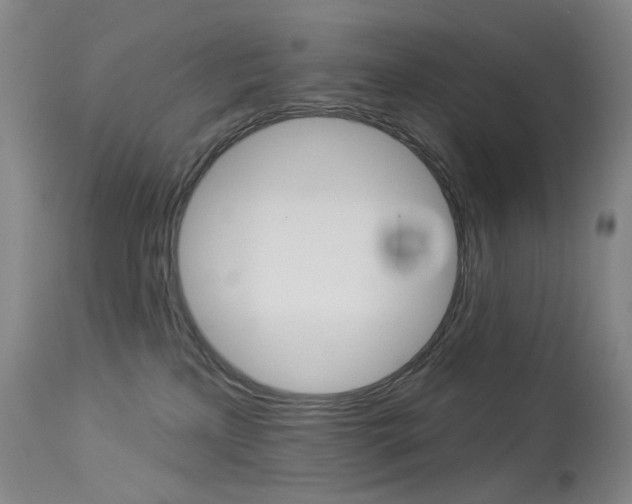 X0000114130233200910081010
