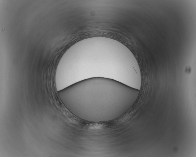 X0000114130235200910081010