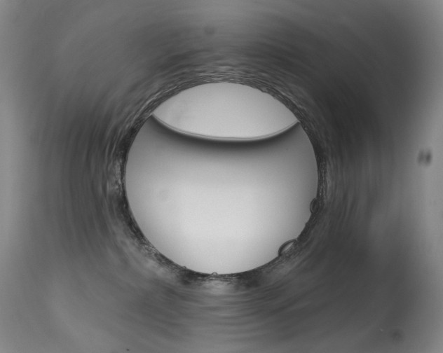 X0000114130236200910081010