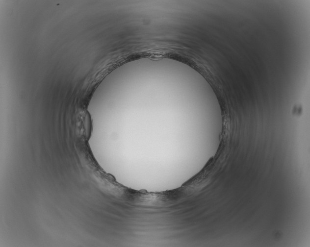 X0000114130237200910081010