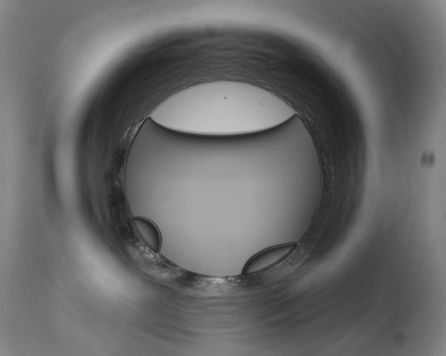 X0000114130239200910081010
