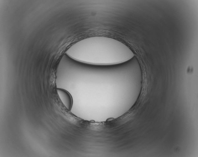 X0000114130240200910081010
