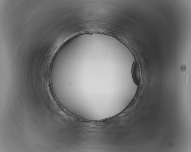 X0000114130241200910081009