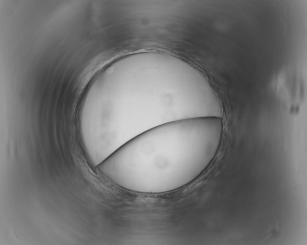 X0000114130242200910081009