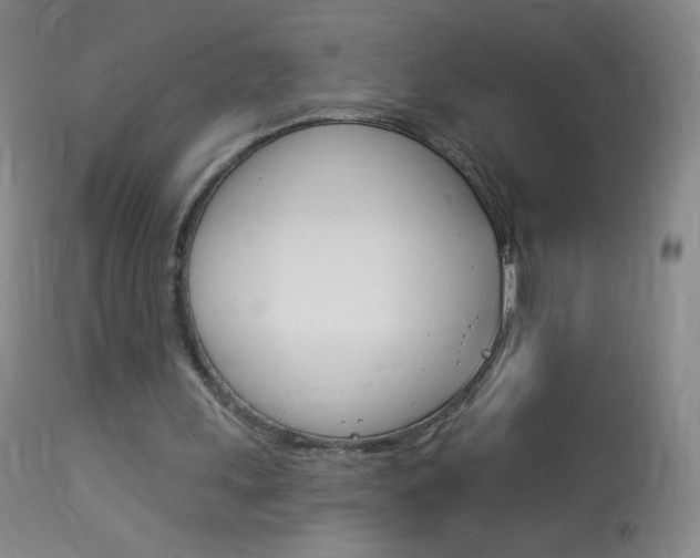X0000114130243200910081009