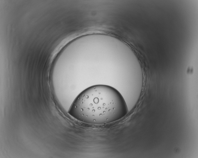 X0000114130244200910081009