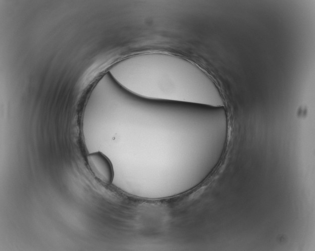 X0000114130245200910081009