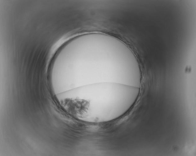 X0000114130246200910081009