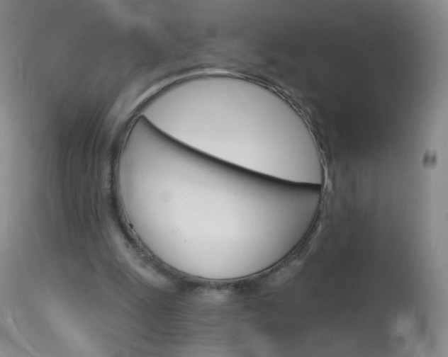 X0000114130247200910081009