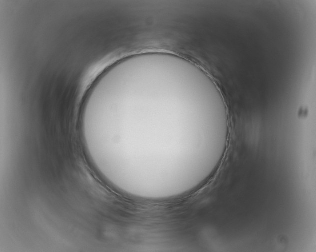 X0000114130248200910081009