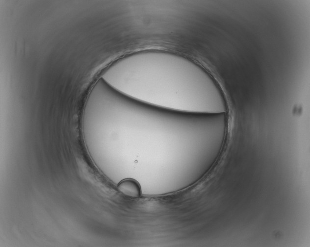 X0000114130249200910081009