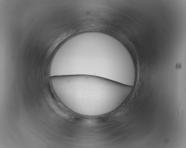 X0000114130250200910081009