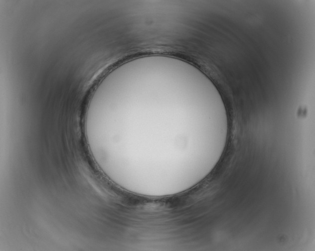 X0000114130251200910081009