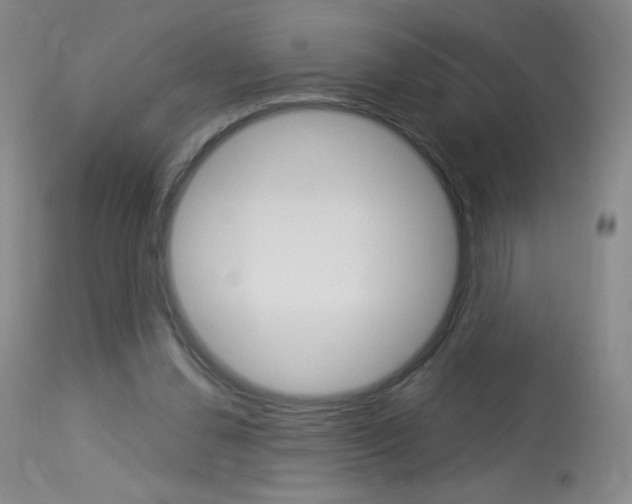 X0000114130252200910081009