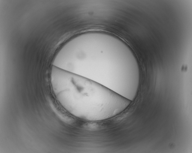 X0000114130253200910081009