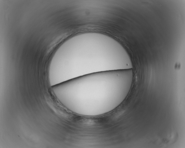 X0000114130254200910081009