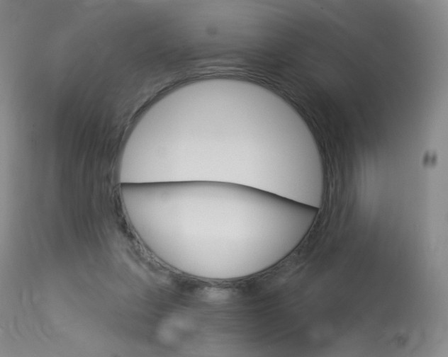 X0000114130255200910081009