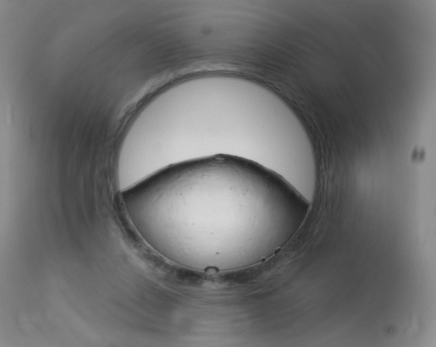 X0000114130256200910081009